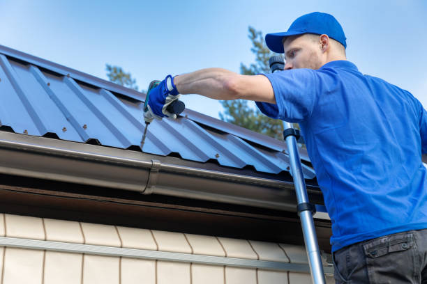 Best Roof Moss and Algae Removal  in Iona, ID