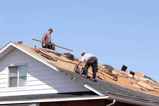 Best Roofing for New Construction  in Iona, ID